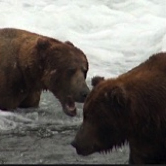 Screen Shot 2016-07-08 at 8.21.05 PM.jpg